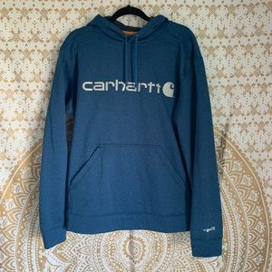 Carhartt Force Delmont Signature Graphic Hoodie
